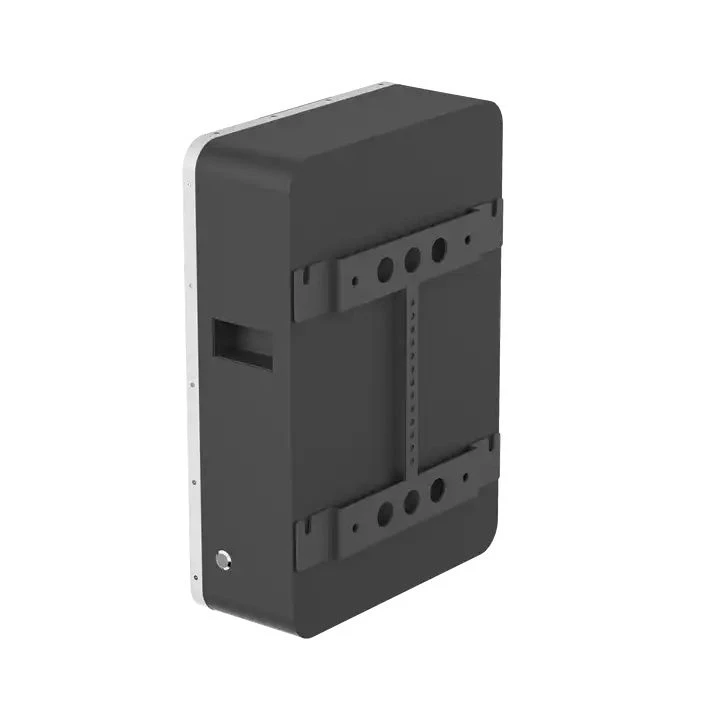 48V100AH lfp battery back side with H arm to fasten
